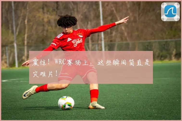 震惊！WRC赛场上，这些瞬间简直是灾难片！