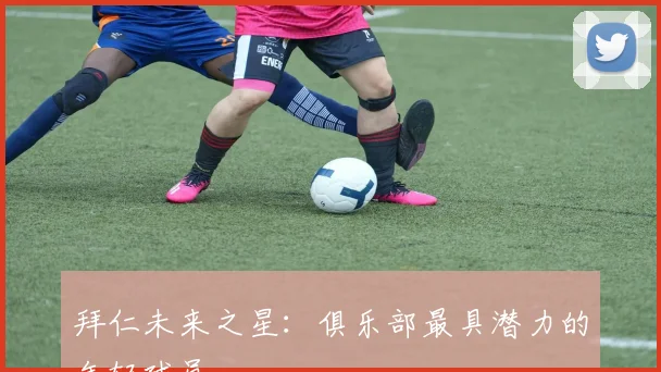 拜仁未来之星：俱乐部最具潜力的年轻球员